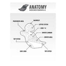 Saddlemen Roadsofa Lattice Stitch Seat for Honda  - Customhoj