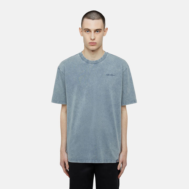 Dickies Maglietta Plentywood