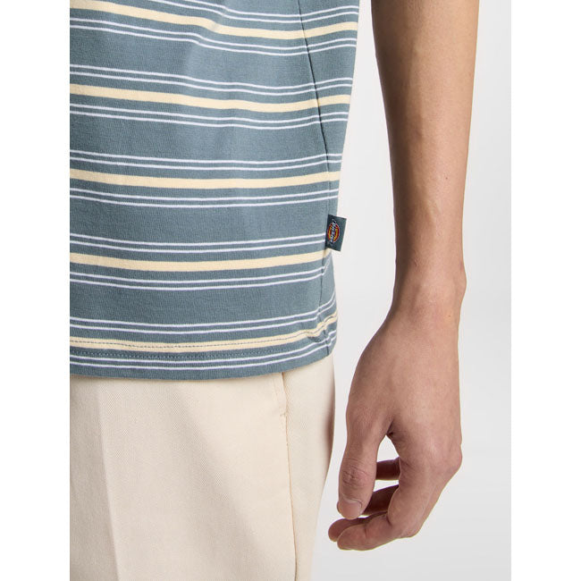 Dickies Maglietta Lewistown a righe