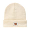 Dickies Berretto Gibsland