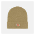 Dickies Berretto Gibsland