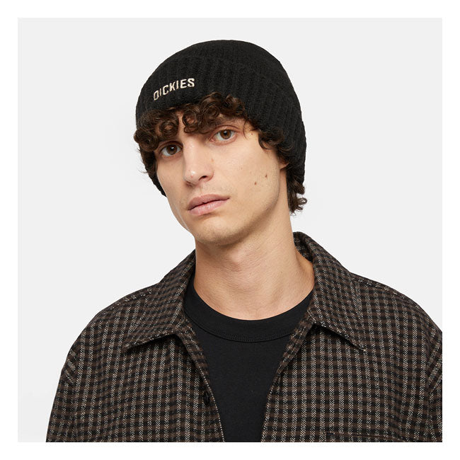 Dickies Berretto Harlowtown