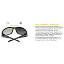 Bobster Fat Boy Photochromic Motorcycle Glasses  - Customhoj