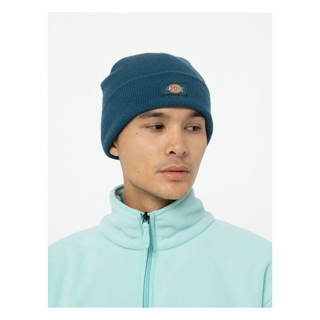 Dickies Gibsland Beanie