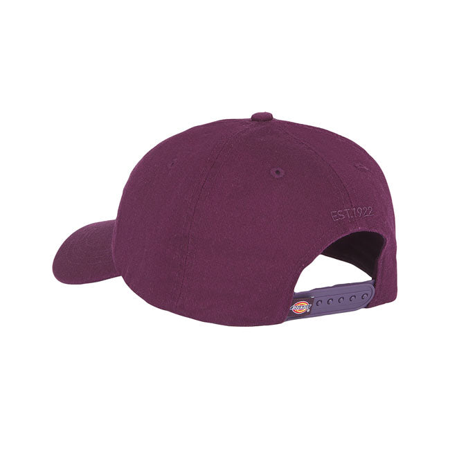 Dickies Hardwick Baseball Cap