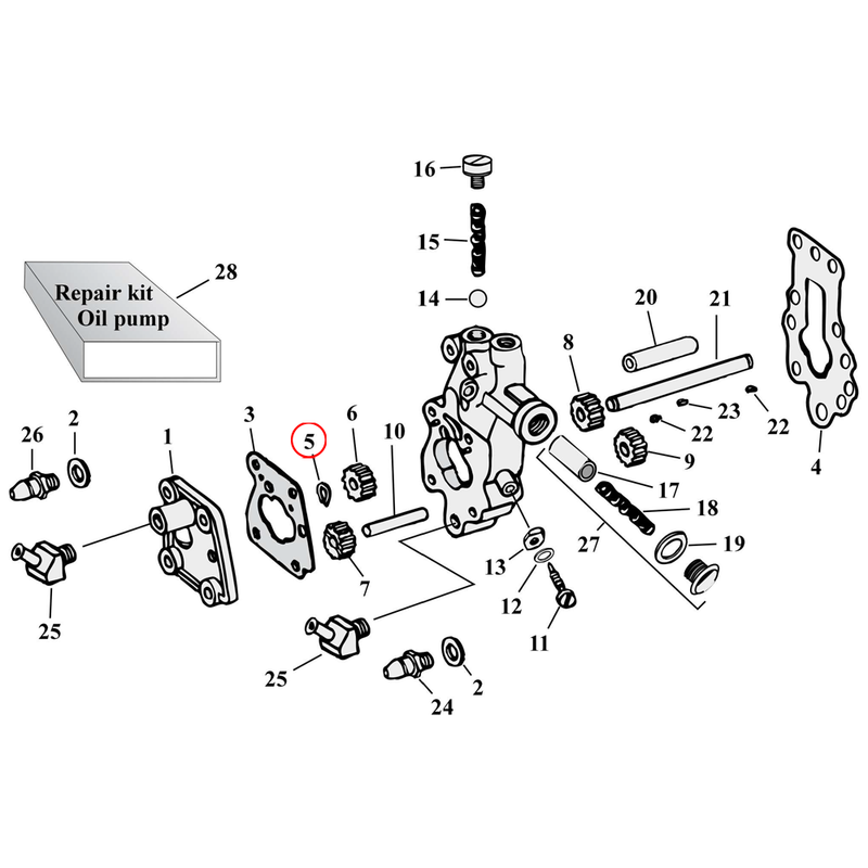 Oil Pump Parts Diagram Exploded View for Harley Knuckle / Pan / Shovel 5) 36-99 Big Twin. Retaining ring, outer. Oil pump drive shaft. Replaces OEM: 26348-36